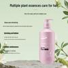 An'an Jinchun A'Gensn Camellia Anti-Dandruff Shampoo