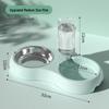 Automatic Cat Water Feeder & Dual Bowl Dispenser