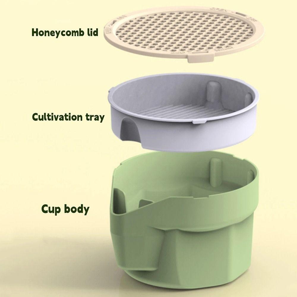 Hydroponic Microgreens Growing Kit Easy To Grow Soilless Planting Box  Cat Snack