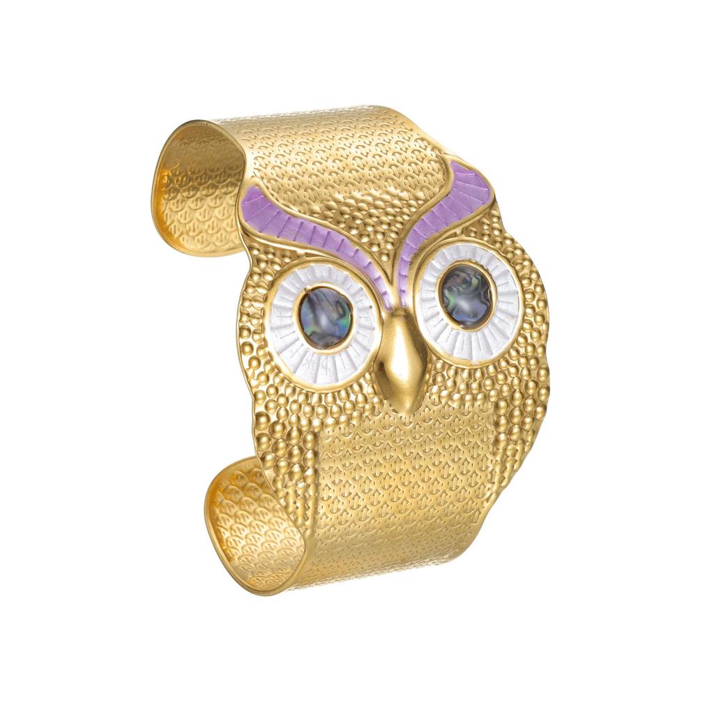 Браслет-манжета из титановой стали с эмалью в виде совы - Художественный и милый модный браслет