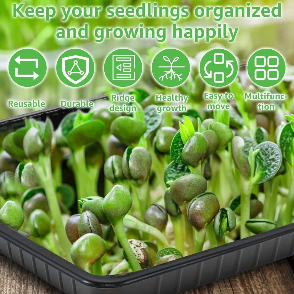 10 шт. лотков для выращивания растений без отверстий, многоразовый лоток для цветочных горшков бонсай, поддон для размножения семян, почва