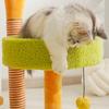 Cat Claw Scratcher, Climbing Frame, Indoor Rest Interactive Pet Supplies Scratcher Post