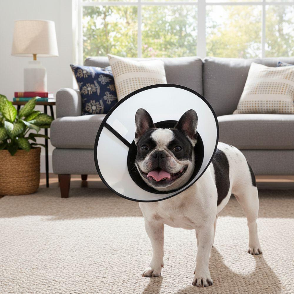 Breathable Dog Elizabethan Collar Adjustable Recovery Collar Protective Collar  Wound Recovery