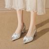 Beautiful High Heels Spring and Autumn New Silver Pointed Head Light Mouth Thick Heel with Skirt Single Shoes Women