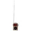Карманное радио Беспроводное Bluetooth FM AM SW WB Короткие волны Поддержка карт памяти Многофункциональный