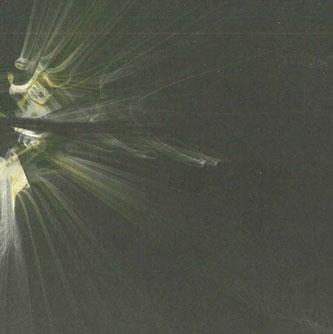 CD SON LUX - На войне со стенами и лабиринтами ABR0082CD ANTICON 2008 Япония Танцевальная и электронная музыка Б/У