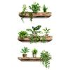3Pcs/Set Creative Wall Stickers Potted Plant Decals Self-adhesive Removable Wall Mural DIY Wall Art Home Decoration Accessories