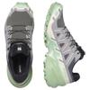 Женские кроссовки Salomon Speedcross 6 Wmns 'Castlerock Smoke Green' L47582000