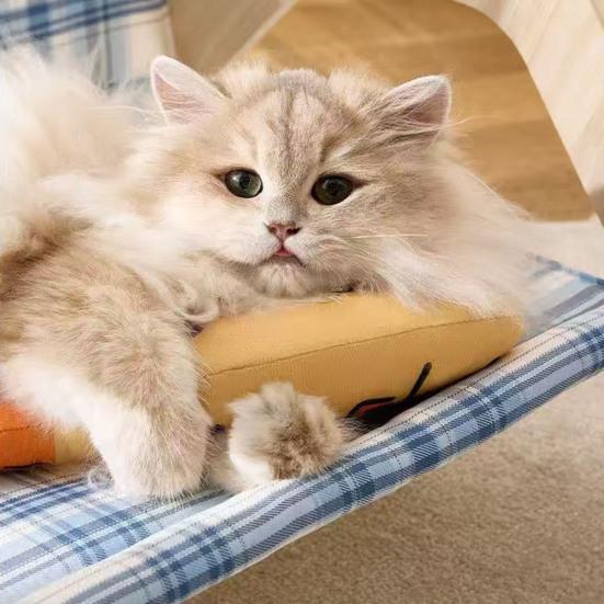 Плюшевая Рыбка Игрушка для Кошек Натуральная Кошачья Мята Мягкая Самостоятельная Игра Упражнение Интерактивная Жевательная Игрушка-Пиналка Игрушка для Котят для Домашних Кошек
