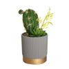 Nordic Artificial Cactus & Succulent 5-Piece Set