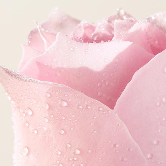 Mamonde Тоник с розовой водой 250мл