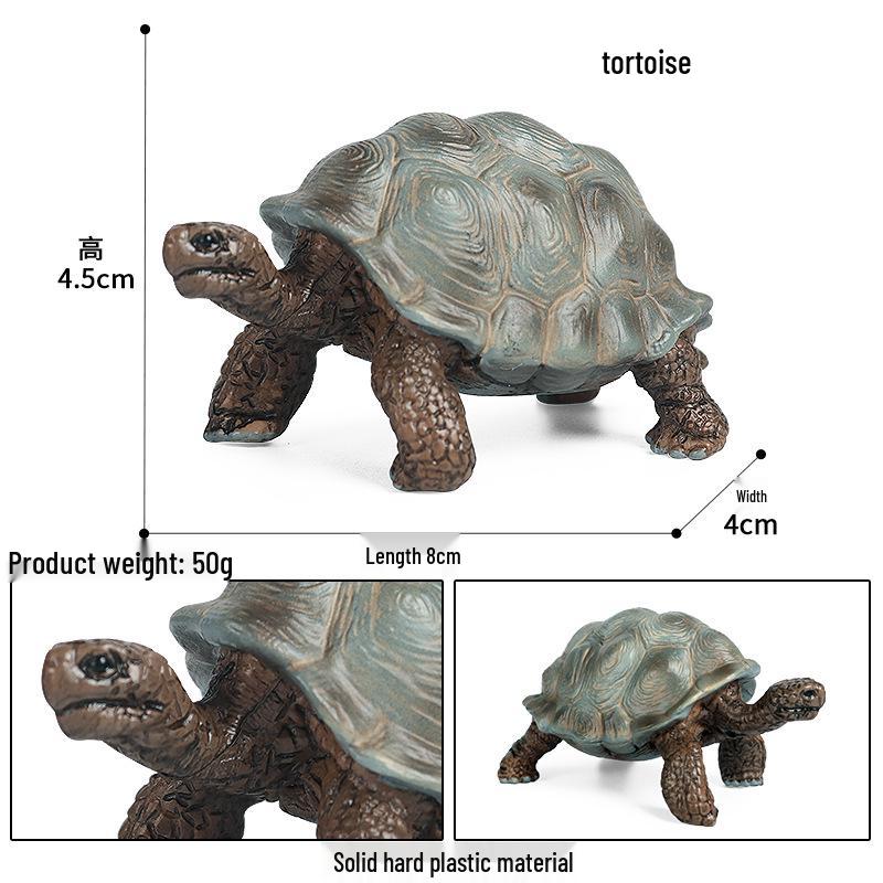 Children's Cognitive Marine Animal Models: Sea Turtle and Tortoise Toys