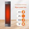 BF Wall-Mounted Infrared Radiant Heater