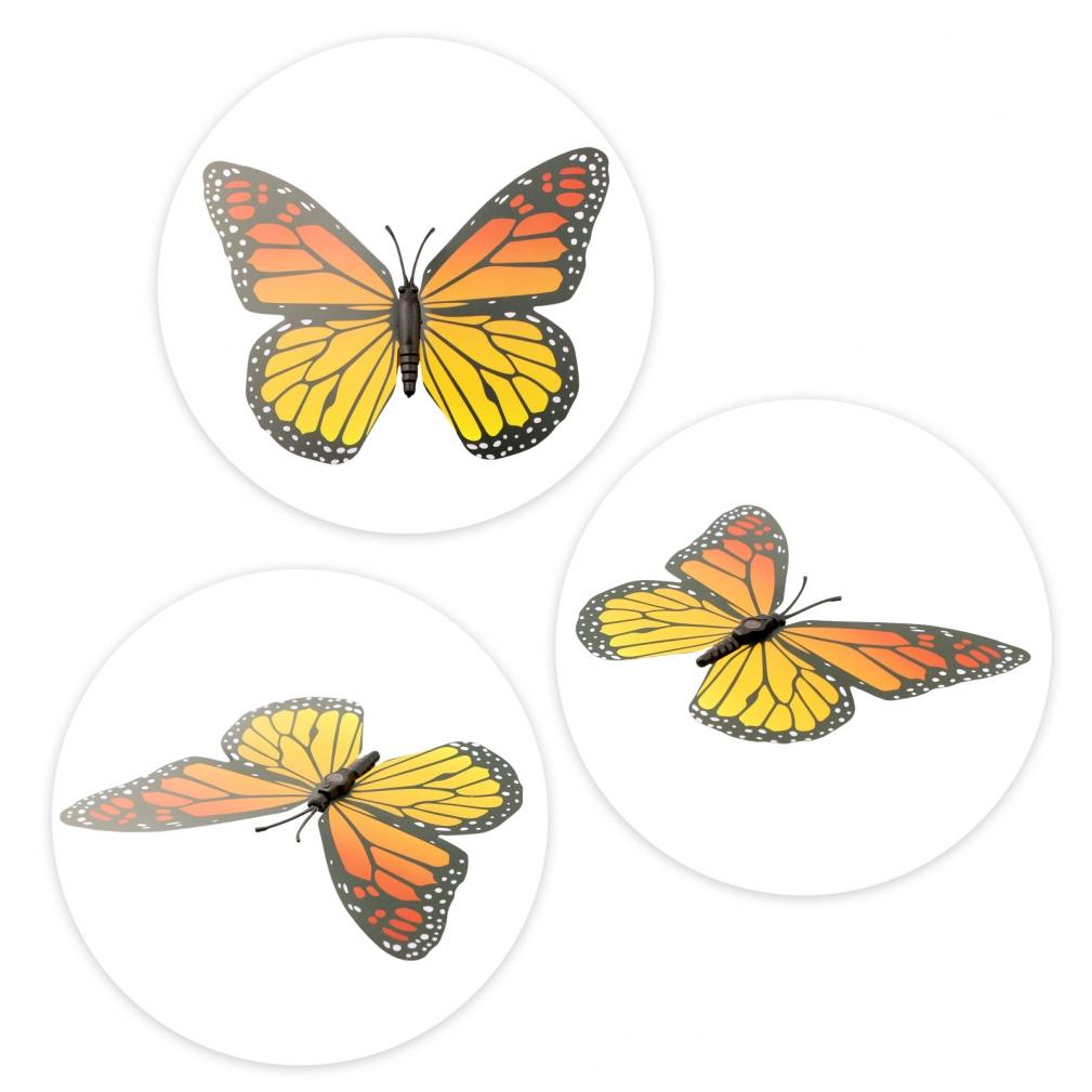 Breathtaking Decorative Butterflies In Orange Pack of 24 for All Events