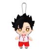 Haikyu!! Tetsuro Kuroo Chibi Sewing Mascot