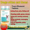 ANIMALOG Dog Pica Cat Dog Trace Elements Anti-pica Eating Grass Shit Gnawing Soil Turning Garbage Licking Wall Skin