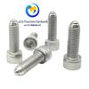 Винт с пружинным шариком с шестигранным углублением BPRL VCN416 ZAK01