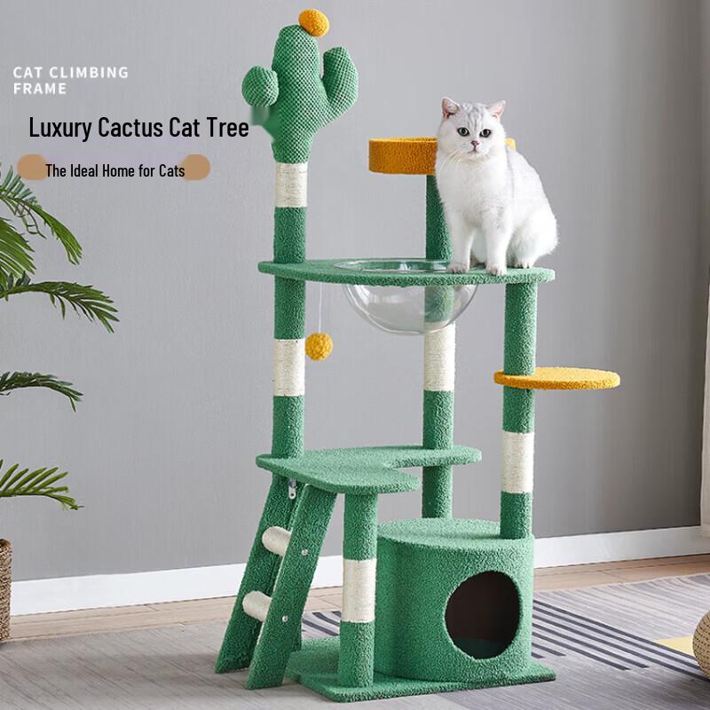 Tang Mi Ji Ji Cactus Cat Tree with Sisal Post