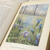 [USED] Rare American Vintage Antique Wild Plant Encyclopedia