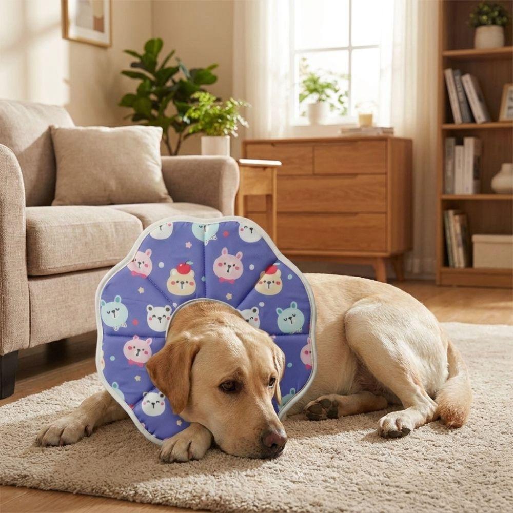 Soft Pet Elizabethan Collar Breathable Anti Licking Cat Collar Pet Care