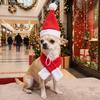 Reusable Dogs Cat Santa Hat Kit Comfortable To Wear Dogs Cats Cosplay Hat  Christmas Party