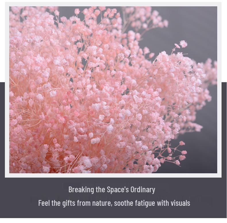 Preserved Gypsophila Dreamy Star Bouquet - Dried Flower Arrangement for Home Decor and Valentine's Day Gift