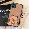 Cute Cartoon Capybara For Silicone Matte Phone Case For iPhone 16 Pro Max 15 14 13 12 11 X XS MAX