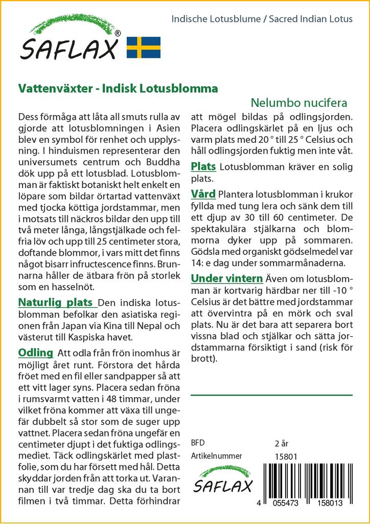 SAFLAX Garden in the Bag - Священный индийский лотос - 8 семян - С субстратом в подходящем пакете - Nelumbo nucifera