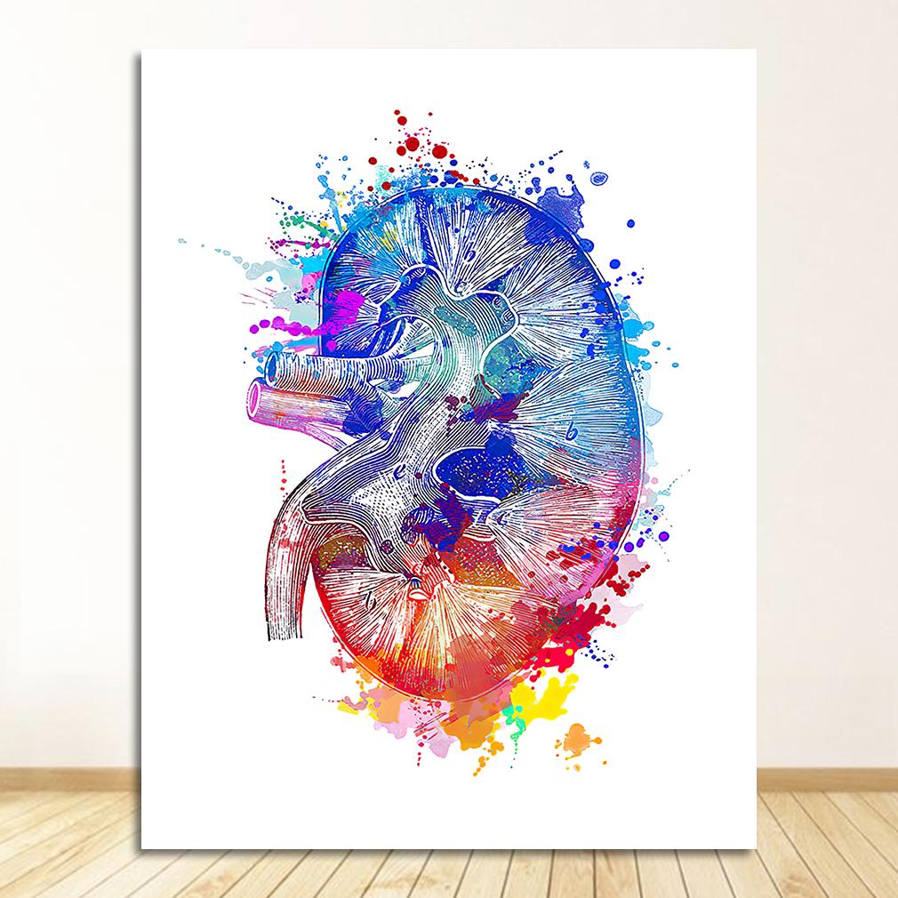 Breast Wall Art Canvas Painting Nordic Posters And Prints Wall Pictures Doctors Office Decor Colorful Anatomy Brain Heart kidney