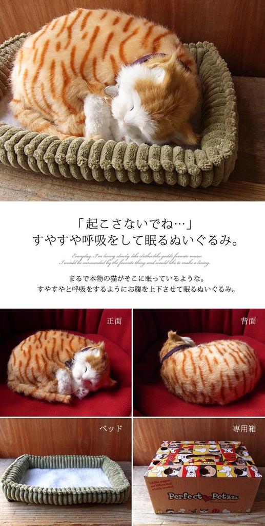 Ninian and Kino Perfect Pet Brown Tabby Cat Plush Realistic and Perfect Gift for Plush Toy (Small) Toy, Lifelike, Celebrations, Animal, Soothing,