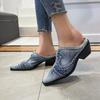 Women Pointed Toe Sandals British Style  Luxury Outdoor Half Slippers Slip On Mules Femme Shoes Ladies Denim Chunky Heeled Slide