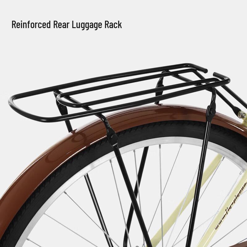 Flying Pigeon Solid Tire Retro City Commuter Bike