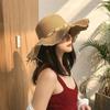 Straw Hat Women's Summer Beach Big Eaves Seaside Outing Sun Hat New Sun Hat Sun Protection Summer Hat