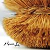 Kamenoko Body Scrubber Nishio-kun (with string)