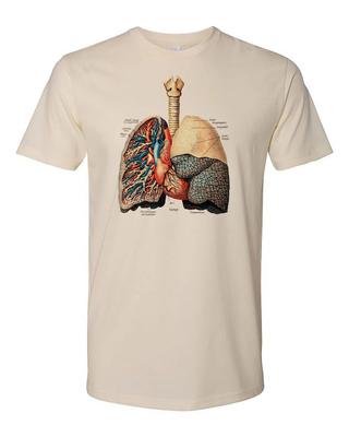 Коттедж Cult Clothing Футболка 100% Хлопок Оккультная Анатомия Легкие Викторианский