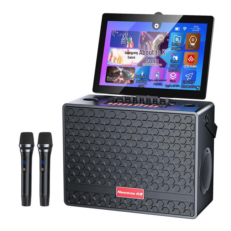 Портативная KTV караоке-система Newman D21