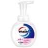 Walch Foam Hand Wash Set