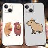 Cartoon Capybara Luxury Phone Case For iPhone 11 12 13 14 15 Pro Max Mini X XR XS 7 8 Plus SE Soft Silicone Cover Black Funda