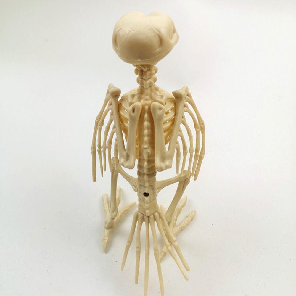 New Halloween Prop Plastic Animal Skeleton Bones Skeleton Raven Halloween Decoration Crow Skeleton