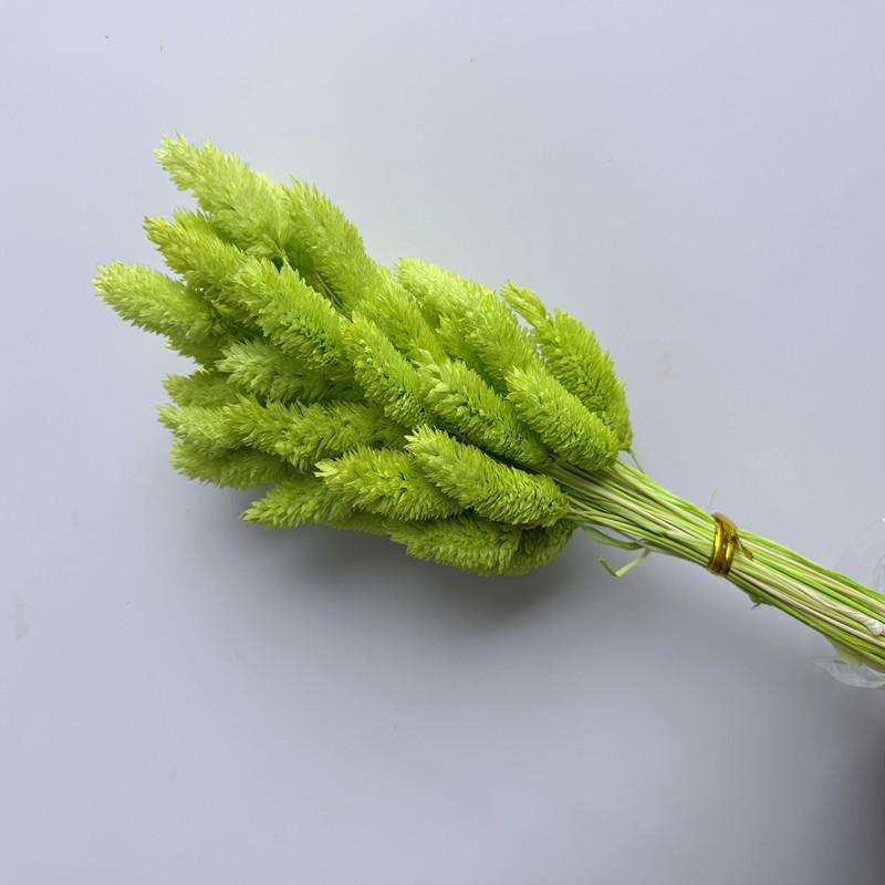 Dried Bunny Tail Prairie Arrangement with Wheat, Oats, and Foxtail Grass
