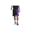 Мужские баскетбольные шорты Atmos Lebron Dri-FIT DNA, разноцветные, CJ5921-010
