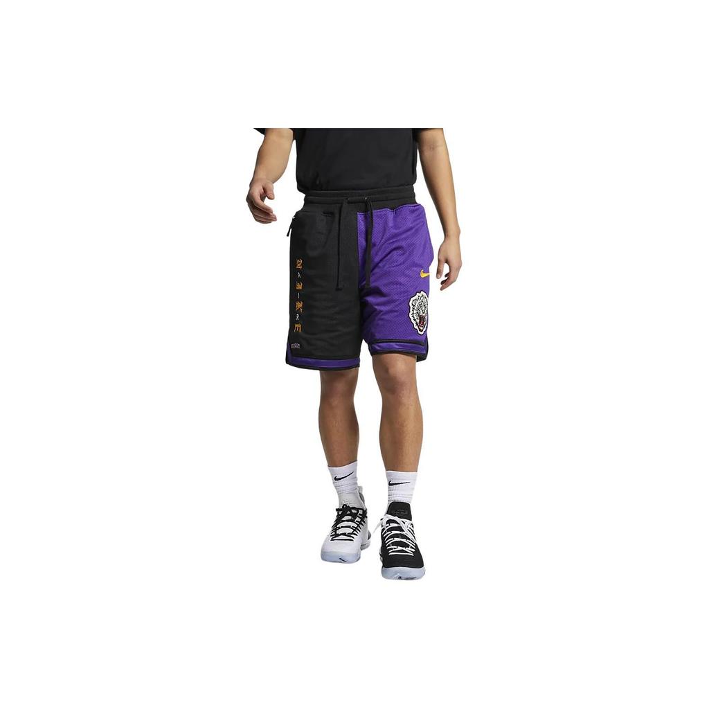 Nike Мужские баскетбольные шорты Atmos Lebron Dri-FIT DNA, разноцветные, CJ5921-010