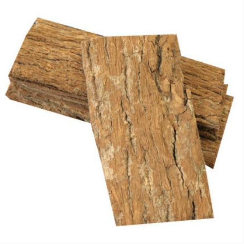 Eucommia Tea Super Grade Cortex Eucommia Bark Du Zhong Chinese Herbal Material