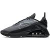 Air Max 2090 Черный Вольф Грей BV9977-001