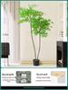 Artificial Nandina Domestica Potted Plant for Home Decoration - Green Ornamental Bonsai for Living Room or Sofa Side Decor.