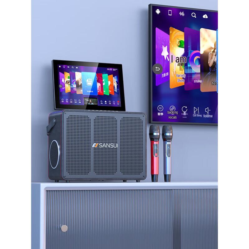 SANSUI C6 All-in-One Portable KTV Karaoke System CN plug (adapter included) (CN version)