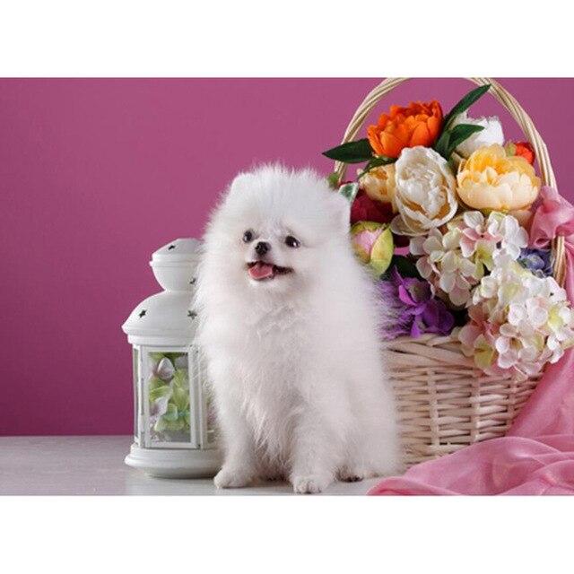 5D DIY Алмазная картина Набор Милый щенок Искусство Алмазная вышивка Стразы Украшения для дома