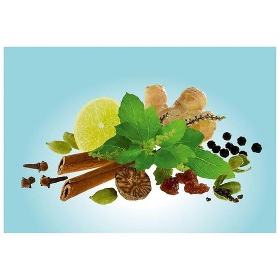 Зеленый чай Girnar Detox - Desi Kahwa | 36 чайных пакетиков в каждой упаковке | Упаковка из 2 штук + зеленый Ilayachi 25 г