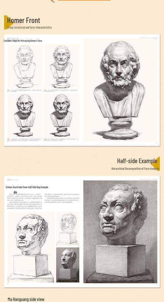 Understanding Sketch Plaster Casts: 8K Exam Art Guide & Album