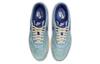 Nike Air Max 1 Premium 'Dirty Denim' DV3050-300